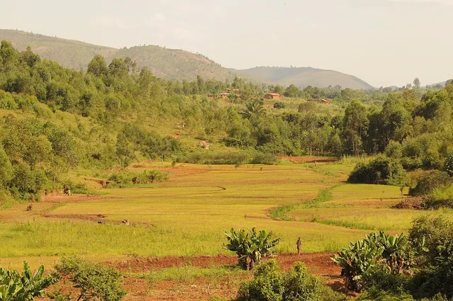 Countryside close to Gitega (6908580277)
