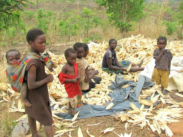 Woman from small village peeling corn - Zambia