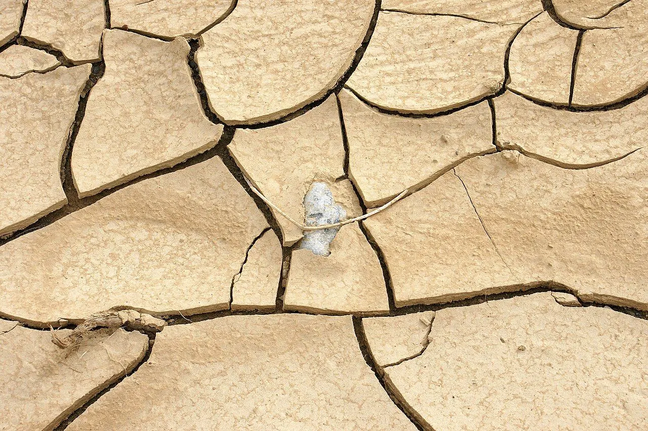 A Famine Appeal From Central Africa