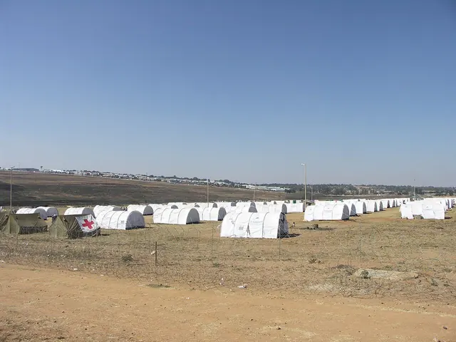 Families with luggage waiting at a border crossing